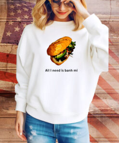 All I Need Is Banh Mi Hoodie TShirts