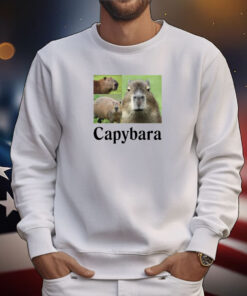 Capybara Tee Shirts