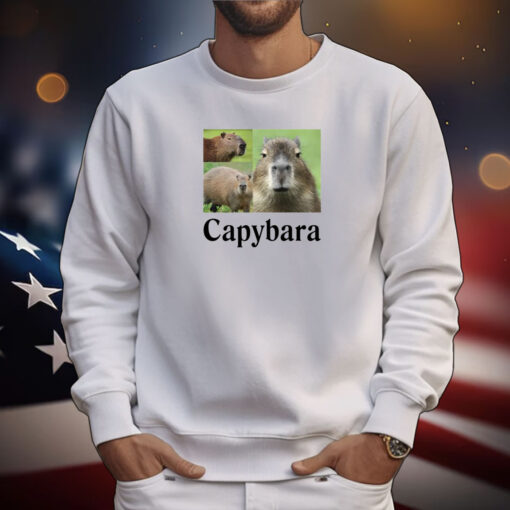 Capybara Tee Shirts