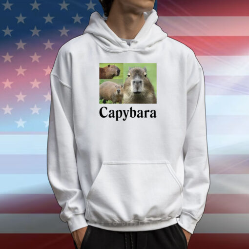 Capybara T-Shirts