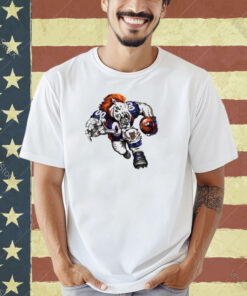 Denver Broncos Fans Team T-Shirt