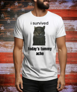 Sillyteestudio I Survived Today's Tummy Ache Hoodie Shirts