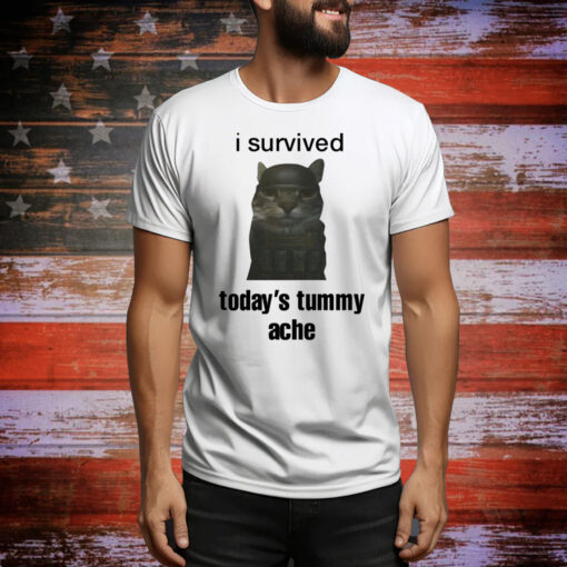 Sillyteestudio I Survived Today's Tummy Ache Hoodie Shirts