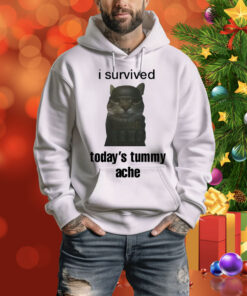 Sillyteestudio I Survived Today's Tummy Ache Hoodie Shirt