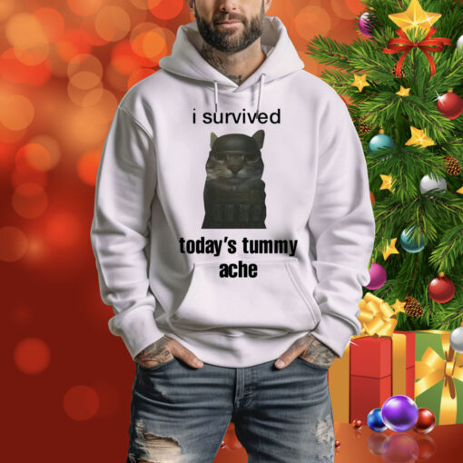 Sillyteestudio I Survived Today's Tummy Ache Hoodie Shirt