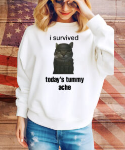 Sillyteestudio I Survived Today's Tummy Ache Hoodie TShirts