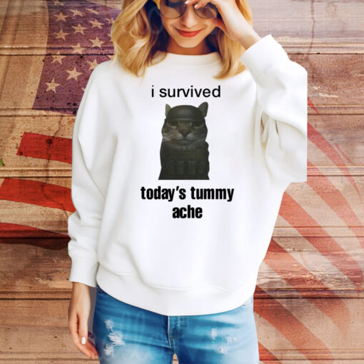 Sillyteestudio I Survived Today's Tummy Ache Hoodie TShirts