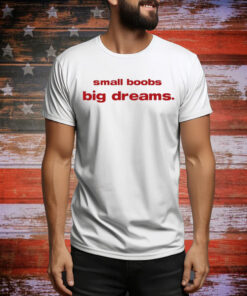 Small Boobs Big Dreams Hoodie Shirts