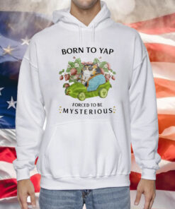 Born To Yap Forced To Be Mysterious Hoodie