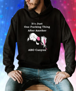 It’s Just One Fucking Thing After Another ABO Canyon Hoodie Shirt