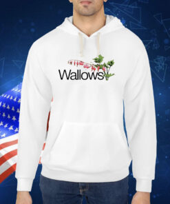 Wallowsmusic Wallows Flowers Shirt